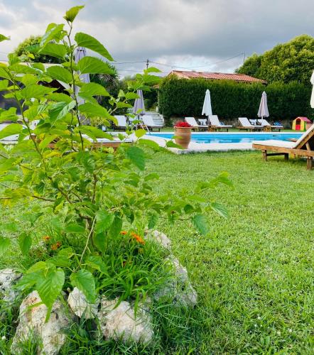 The Mansion Of Dionisos And Dimitras 2