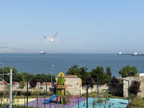 Istanbul Queen Seagull