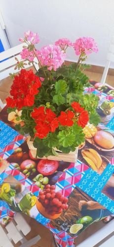 Carboneras, la Mar Divina