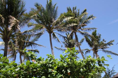 Wind Riders Inn & Cafe