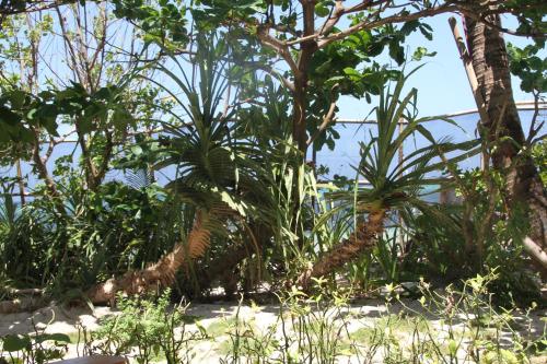 Wind Riders Inn & Cafe