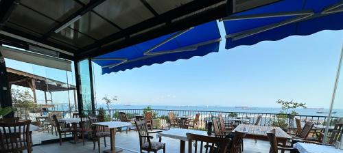 Istanbul Queen Seagull