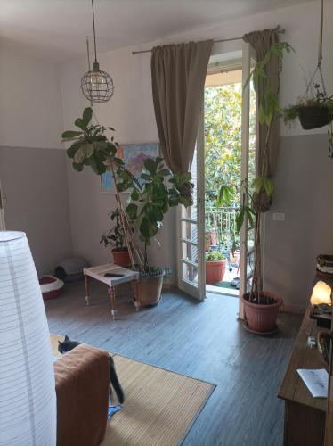 Boh & Boh A casa di Luca and his Cats