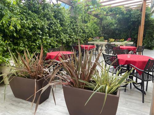 Agritur Girasole