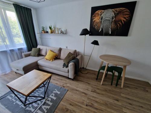 Sienkiewicza apartament MULTI HOUSE