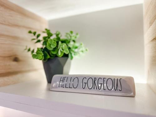 Vibrant Oasis with the best view + Fast WiFi