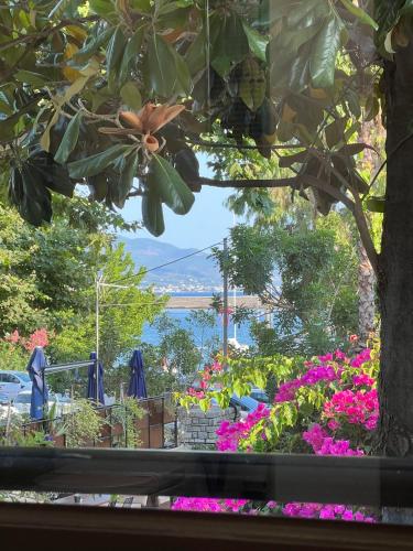 Panellinion Luxury Rooms