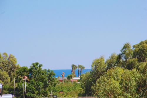 Edem Flower Hotels