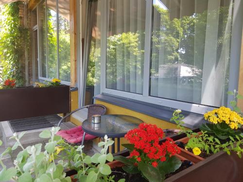Neris Inn Terraces