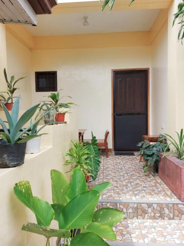 TLShaw Homestay
