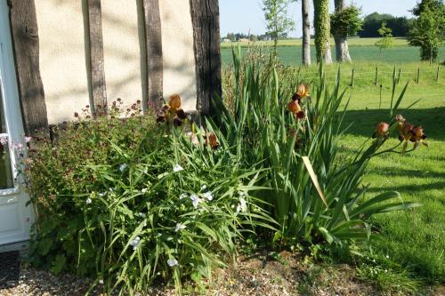 Gîte Normand de charme Les Châtaigniers
