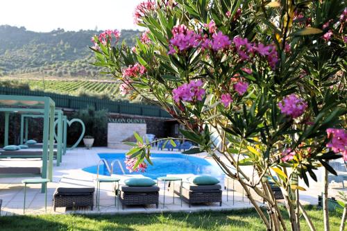 Valonquinta - Agricultura E Turismo De Vila Flor