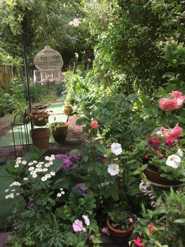 The Terrace