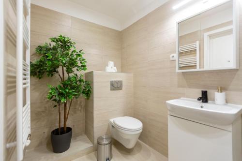 Rustic Central Studios by LH