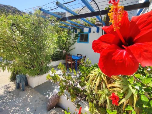 Oleander's Garden Traditional Cretan Cottage