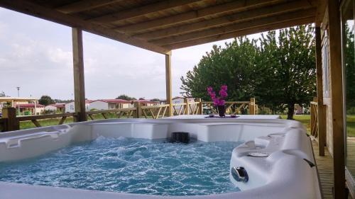 Camping Park Umag Mobile Homes
