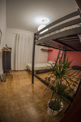 The Lighthouse Hostel