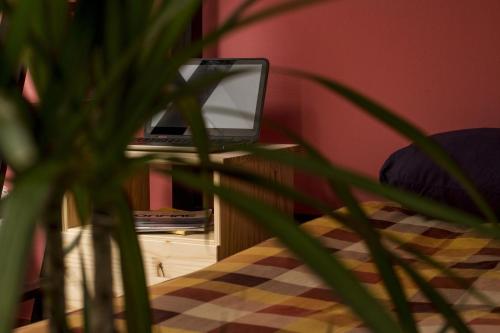 The Lighthouse Hostel