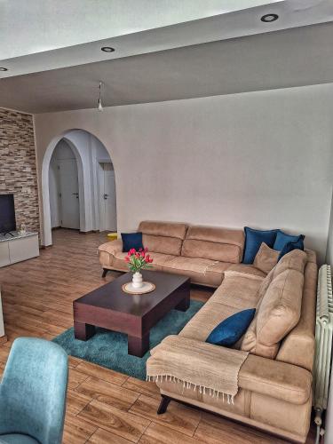 Studios Merdovic
