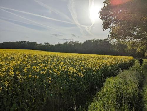 Self-catering guest annex