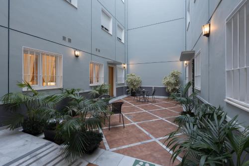 Apartments Plaza de la Luz