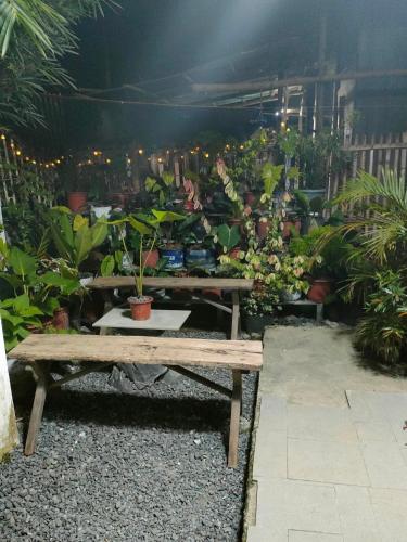 Yannas transient house