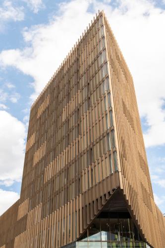 Cove Paradise Street