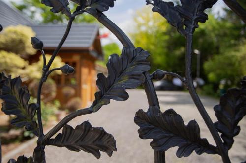 Noclegi Pod Debem U Jakuba