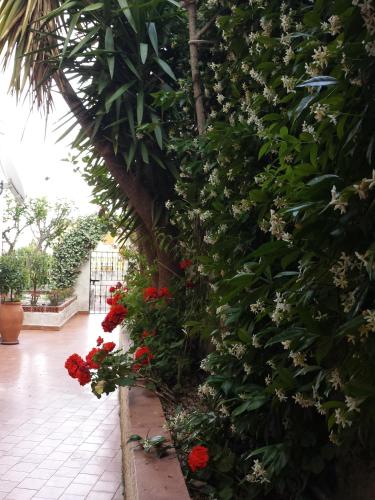 Panoramic Apartments Taormina center