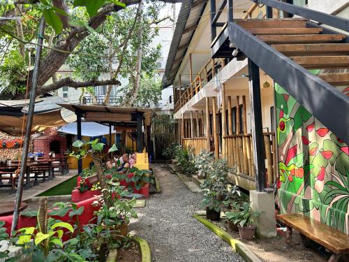 The Lazy Dog Bed & Breakfast