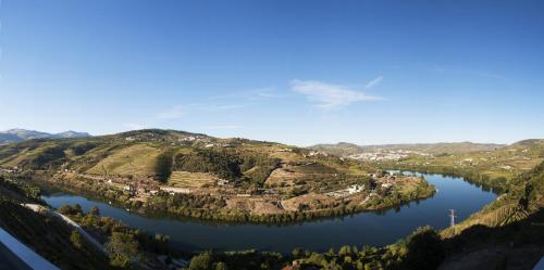 Delfim Douro