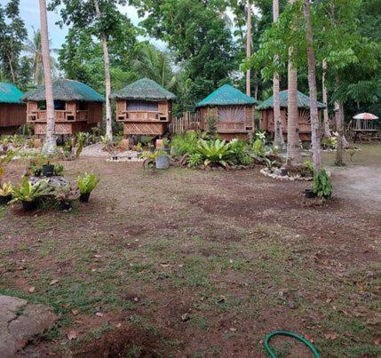 Elvira's Homestay