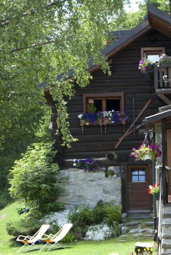 Chalet Dei Fiori B & B Ronco