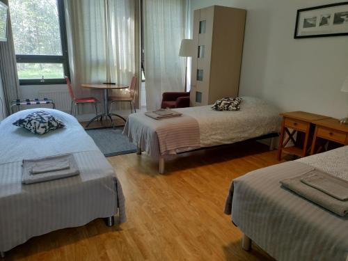 Hostel Vekotin