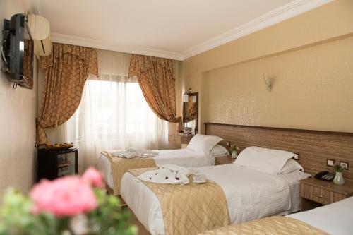 Buyuk Hamit Hotel
