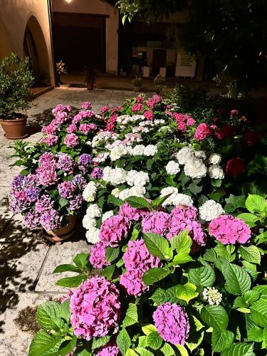 Bed And Breakfast Le Ortensie