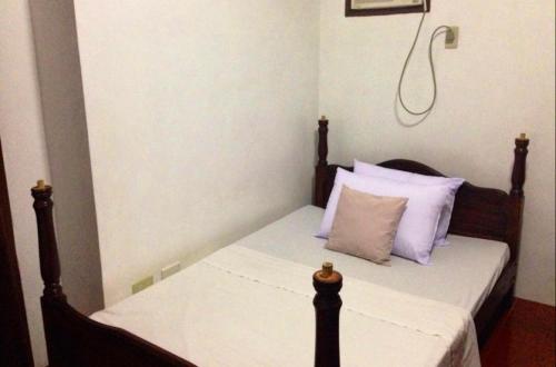 Bognot Lodge Alvin Bognot Mt Pinatubo Guesthouse & Tours