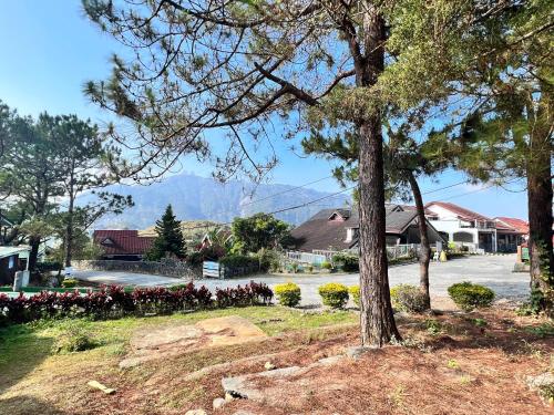 Classic, Cozy House for Transient in Baguio City 2