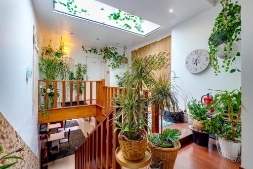 Garden In Town Hostel