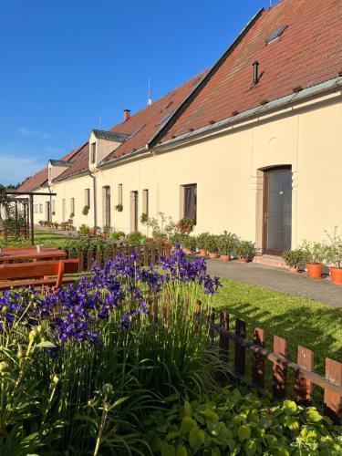 Dvur Nove Zamky Penzion