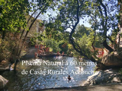 Casas Rurales Acebuche