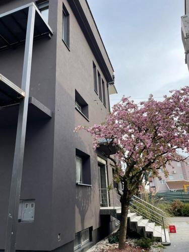 Guesthouse Noce Zagreb