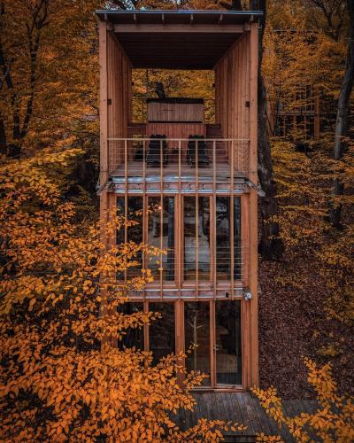 TreeHouses Noszvaj