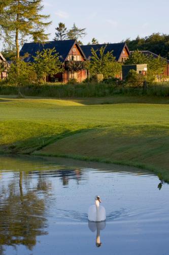 Forbes Of Kingennie Country Resort