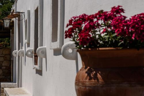 Cinque Stalle Bed & Breakfast