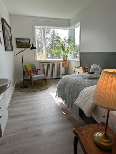 Reykjavik Hostel Village