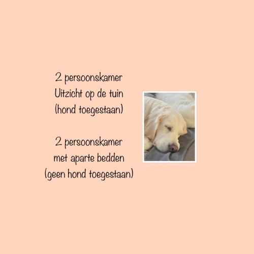 Bed & Breakfast Zilt Texel