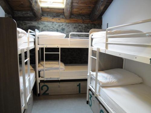 Mountain Hostel Tarter