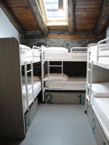 Mountain Hostel Tarter