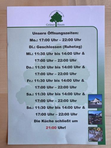 Gaststätte & Pension Grüner Baum